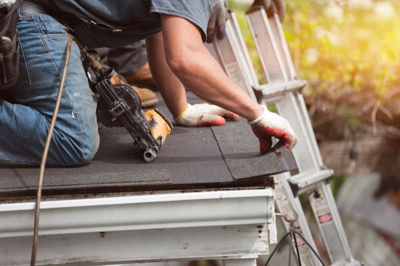 Roof Repair Professionals