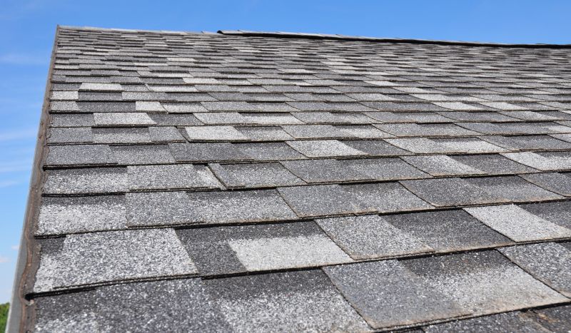 Shingle Roofing Services