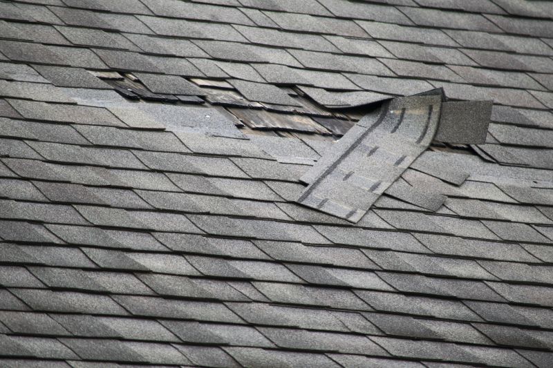 Signs You Need Immediate Roofing Service
